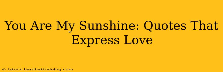 You Are My Sunshine: Quotes That Express Love