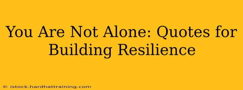 You Are Not Alone: Quotes for Building Resilience