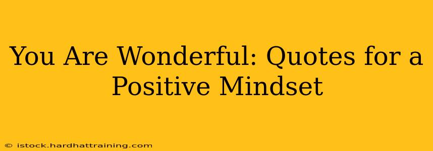 You Are Wonderful: Quotes for a Positive Mindset